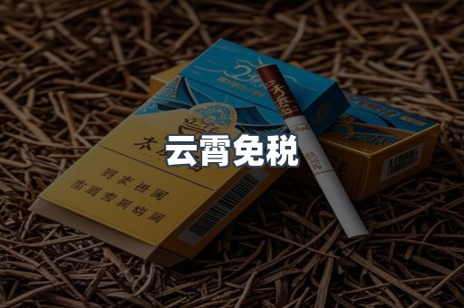 云霄免税